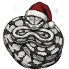 Königspython Weihnachten Ball Python Schlange
