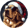 Christmas dog with sunglasses