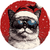 Cat Santa with sunglasses