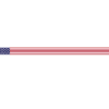 Dallas