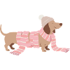 Winter Dachshund Illustration