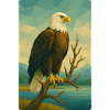Polynature Bald Eagle