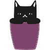 Chat dans la poche poitrine