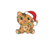 Christmas is better with a cat