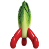 BELGAPOLLO – Belgien