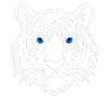 White Tiger Tribal