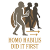 Prehistoric stone tools of Homo