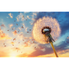 Löwenzahnflug im Abendlicht