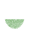 Sachsen DNA