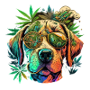 Bunte Hund mit Sonnenbrille & Cannabis