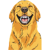 Laughing Golden Retriever