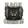 rage consumes me