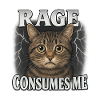 rage consumes me