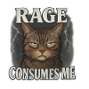 Rage Consumes Me