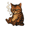 smoking cat