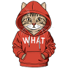 Funny Cool Cat in Hoodie WHAT