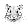 Rat