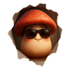 Champignons champignons