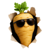 Parsnip