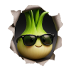 Oignons verts