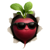 Radish