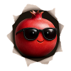 Pomegranate Granatapfel