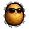 Potato