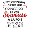 Princesse et Serveuse: Double Vocation