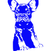 Bouledogue
