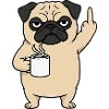 Carlino infastidito con il dito medio al caffè