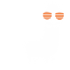 August Birthday Alpaca Saying Funny