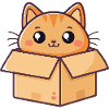 Charming Boxed Kitten