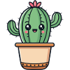 Cactus kawaii en pot