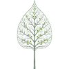 Hidden tree in the leaf
