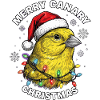 Canary Christmas Santa Hat Bird Xmas