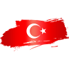 Turkish Flag Brush Stroke