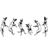 Belgian Malinois Perpetual Motion Dog