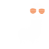 November Birthday Alpaca Saying Funny