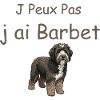 Barbet Humor: J’ai Barbet chien