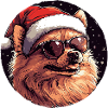 Cool dog with Santa hat