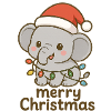 Baby elephant celebrates Christmas