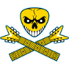 Guitar Pick Skull and Crossed Guitars