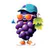 Sonnenheld Grape Streetwear