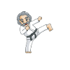 Karate Training Geschenke Karatetraining