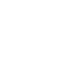 Wikingerschiff Drachenboot