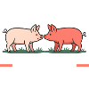 J’Peux Pas Je M’Ocupe Des Cochons