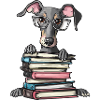 Süßes Windhund-Lesebuch mit Brille