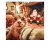 Cat Selfie with Santa Claus