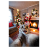 Cat selfie in the Christmas room