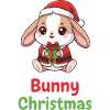 Bunny Weihnachtsgeschenk
